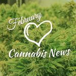 February 2019 Cannabis News Highlights