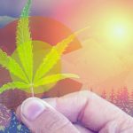 Colorado Marijuana Laws Coming to the 2021 Ballot
