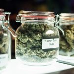 New Social Equity Cannabis Business Licenses Coming to Colorado in 2020