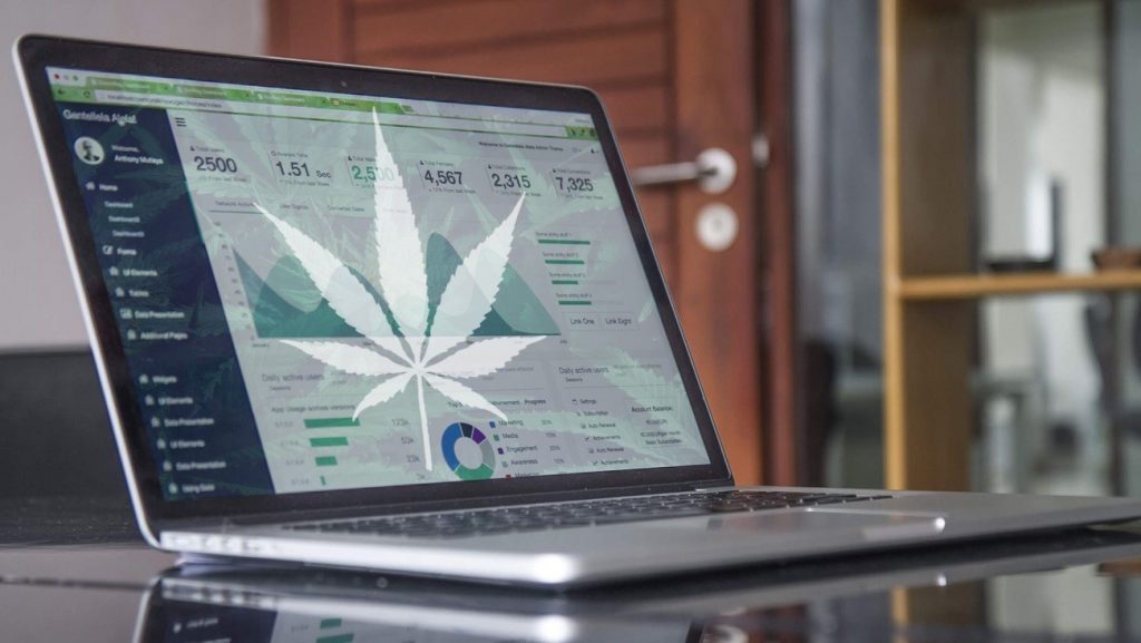 5 Reasons Why Your Cannabis Website is Falling Behind in 2022