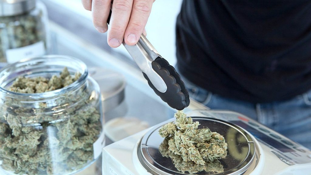 Colorado Cannabis Sales Kept Growing in 2019