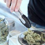 Colorado Cannabis Sales Kept Growing in 2019