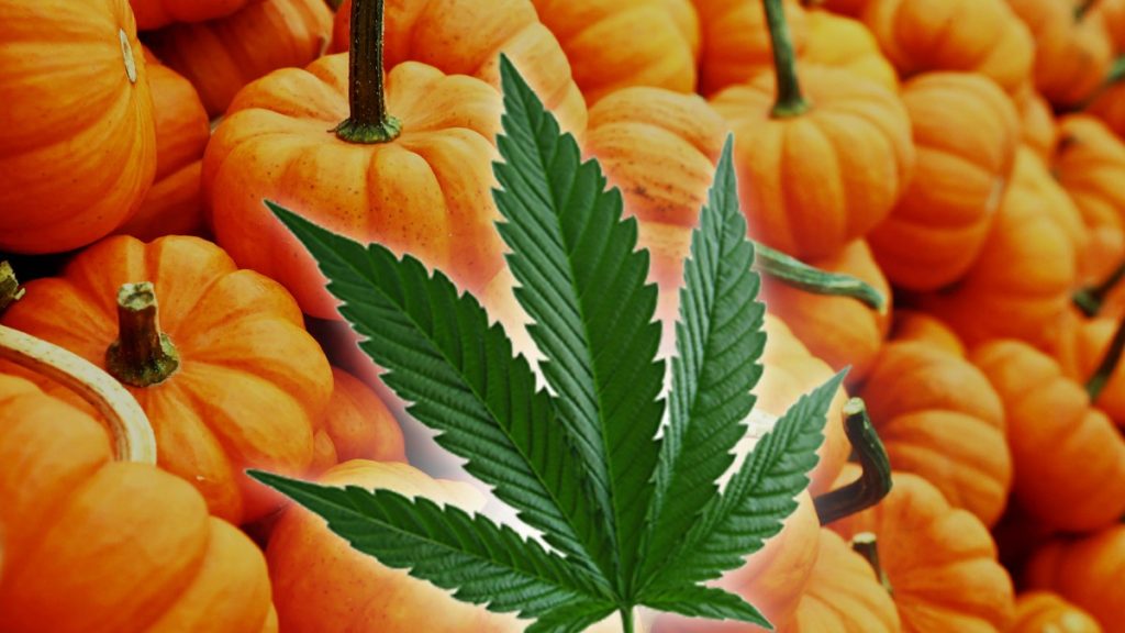 October Cannabis Industry News Highlights