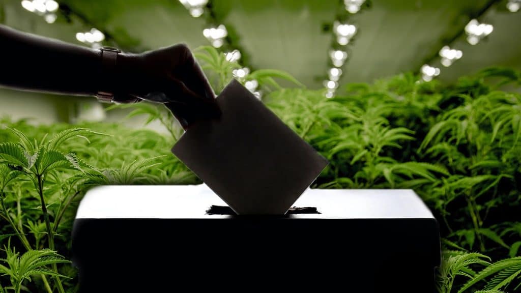 2021 Colorado marijuana election results