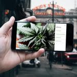 5 Tips to Grow Your Dispensary Website in 2022