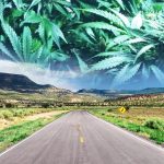 New Mexico’s Governor to call special session for marijuana legalization bill