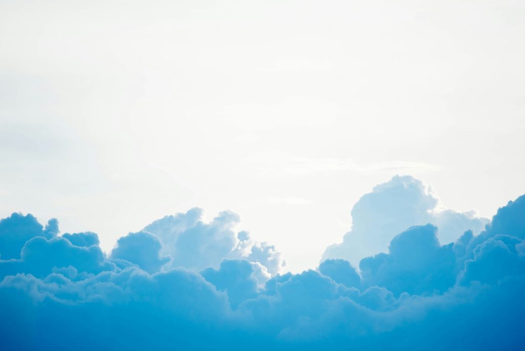 Hosting for Your Cannabis Business Website: Shared vs. Cloud Hosting